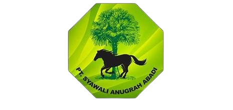 PT Syawali